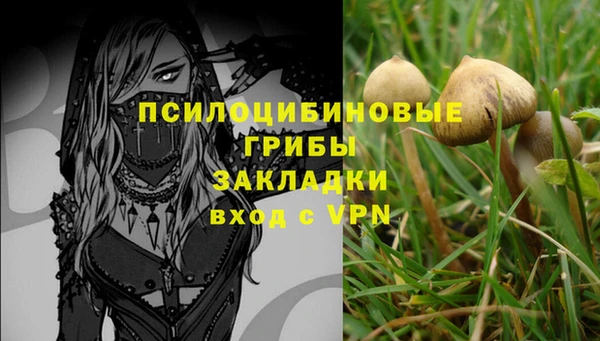спиды Алексеевка