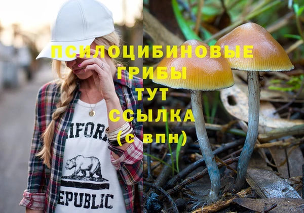 сатива Алексин