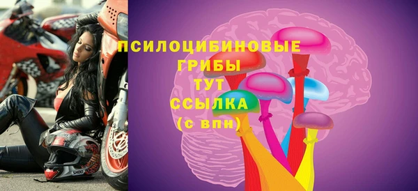 а пвп мука Алзамай