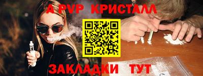 индика Камышлов