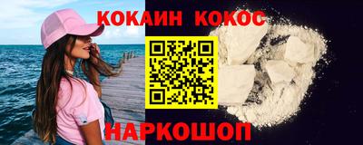 индика Камышлов