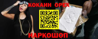 индика Камышлов
