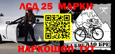 СК Канаш