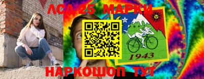 индика Камышлов