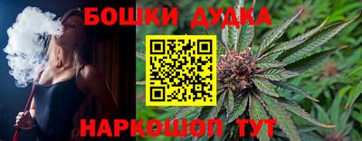индика Камышлов