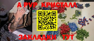 индика Камышлов