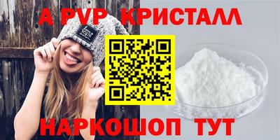 индика Камышлов