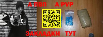 индика Камышлов