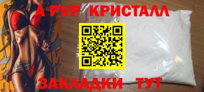 индика Камышлов