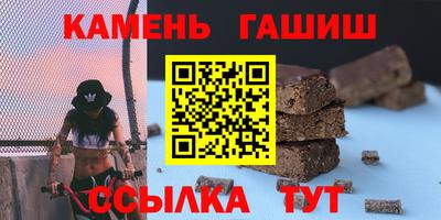 индика Камышлов
