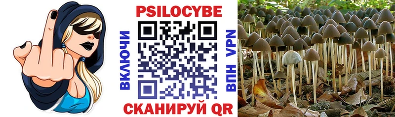 МЕГА ТОР  Минусинск  Псилоцибиновые грибы ЛСД 