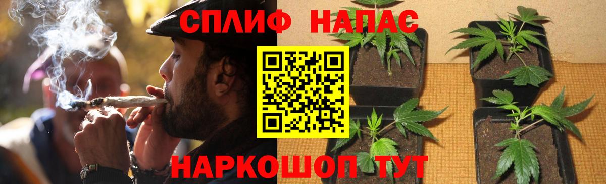 Бошки Шишки сатива Минусинск
